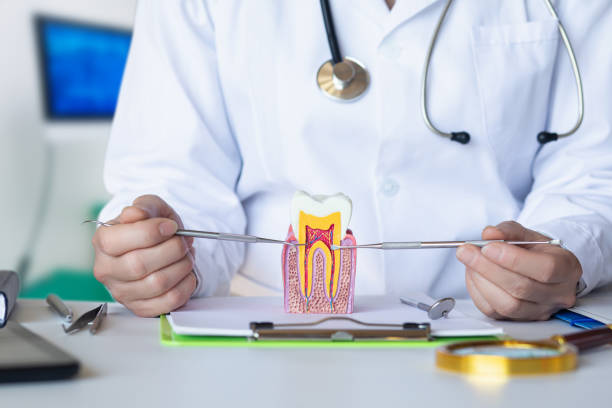 Best Emergency Denture Repair in Rock Rapids, IA